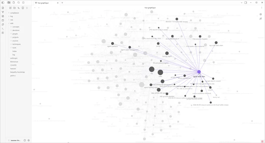Une fiche sélectionnée dans le graphe : tout son réseau de liens s'allume